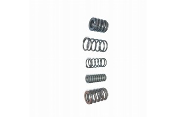 SET OF VIBRATION DAMPER SPRINGS POWERSHIFT MPS6 6DCT450 Set of 24 Part manufacturer OEM