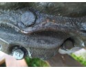 GEARBOX OPEL ZAFIRA ZAFIRA B ASTRA G F17C394 Catalog number of the part F17C394