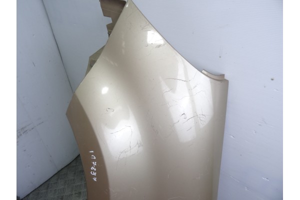 ORO ALETA DELANTERA IZQUIERDA RENAULT MODUS I Pack Authentique 2005 ORO 197839 RENAULT - 2