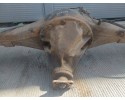 DIFFERENTIAL BRIDGE REAR BEAM GAZ GAZELA AND 2 4 TD Quality of parts according to GVO O original with manufacturer s logo OE