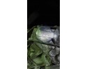 GEARBOX RENAULT MODUS I SCENIC 1 5DCI TL4 Transmission type manual