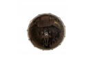 MAN TGX 22 440 GEARBOX AUTOMATIC ZF 12 AS 2130 TD 1353030012 Catalog number of the part 1353030012