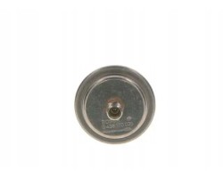 FUEL PRESSURE ACCUMULATOR 0 438 170 035 BOSCH