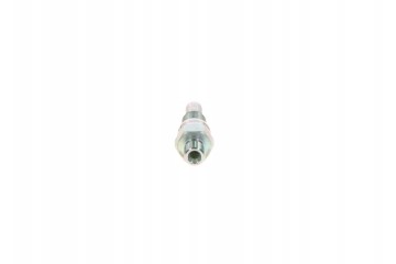 Gasoline injector BOSCH 0 437 004 002 Part manufacturer Bosch