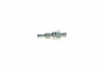 Gasoline injector BOSCH 0 437 004 002 Car type passenger cars