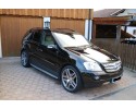 THRESHOLD STEPS MERCEDES ML W164 05 11 Part manufacturer Diederichs