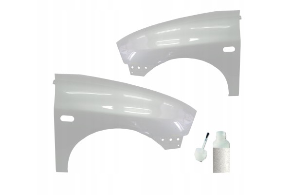 Mudguard Seat IBIZA Cordoba 6L LS7Y left right paint