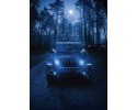Long range headlamp Hella 1FJ358176311 Additional information bulbs included
