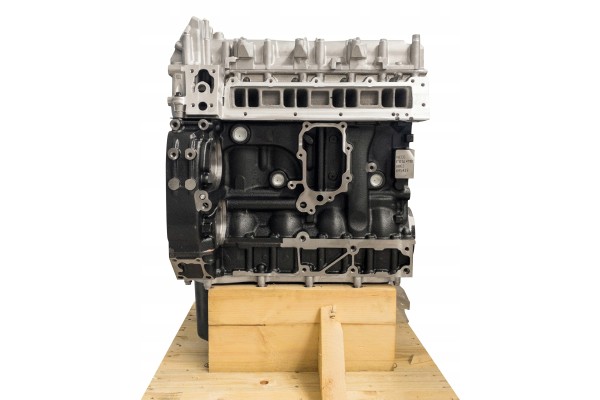 BRAND NEW ENGINE IVECO 3 0 F1CGL411 F1CFL411 EURO 6 WITH TIMING 16 22 Engine type diesel