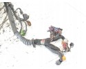 Motor Audi RS6 C5 4.2 BCY Reemplazo Ensamblado