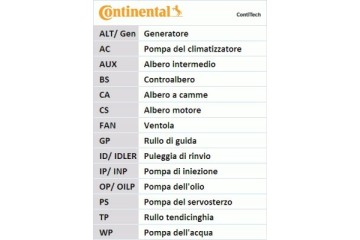 Juego de correa de distribución Continental CT920K2