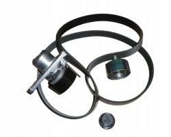 Drive Belt Kit 117209956R Renault Dacia Original