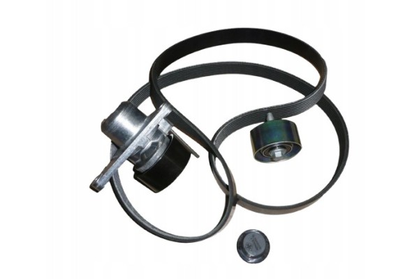 Drive Belt Kit 117209956R Renault Dacia Original