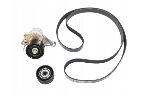 Drive Belt Renault 2 3Dci 2014 117201902R Original