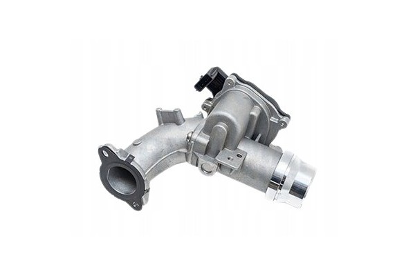 AIR THROTTLE RENAULT 1446900QAH ORIGINAL