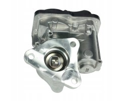 Valve Egr Renault 1 5Dci 147109913R Original