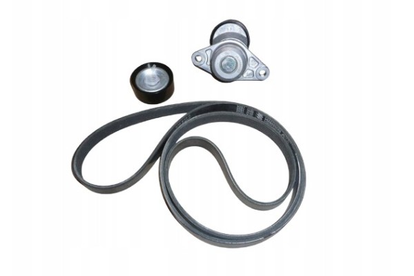 Drive Belt Renault 1 6 16V 117206838R Original