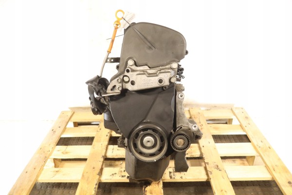 ENGINE VOLKSWAGEN GOLF VI 1 4TSI 80KM CGG TEST FILM Engine type petrol
