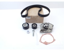 Timing Belt Set Renault Dacia 119A04462R Original