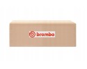 Disc for high performance brakes front Xtra after BREMBO 09 C497 1X