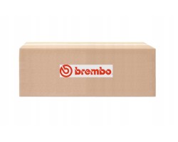 Disc for high performance brakes front Xtra after BREMBO 09 C497 1X