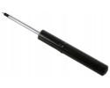 Shock absorber 319 172