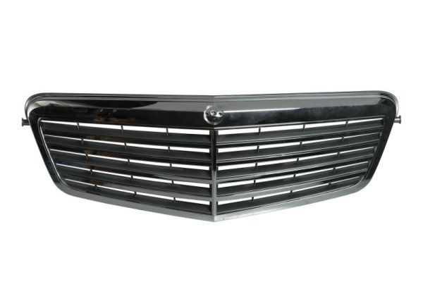 Blic 5601 00 3529991Q Radiator grille