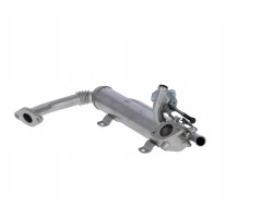 NRF 48306 EGR module