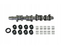 CAMSHAFT SET B11307 BORSEHUNG
