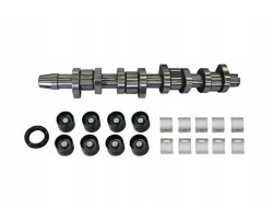 CAMSHAFT SET B11307 BORSEHUNG