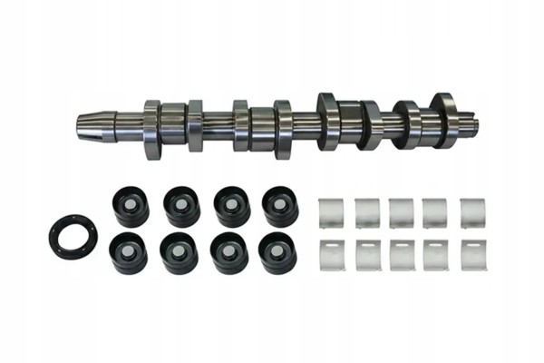 CAMSHAFT SET B11307 BORSEHUNG