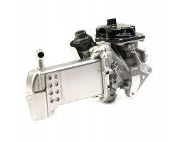 AGR module VALEO 700438 VW AMAROK rear electric