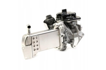 AGR module VALEO 700438 VW AMAROK rear electric
