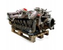 Motor MAN 81005016098