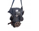 ENGINE P98MF6007 FXDC FORD FOCUS MK1 1 4 16V Car type passenger cars