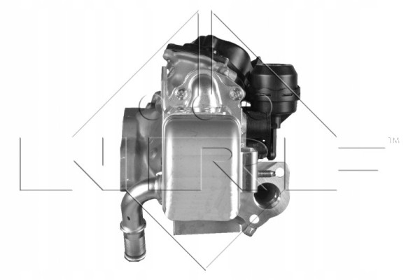 Valve AGR NRF 48204 Catalog number of the part 48204