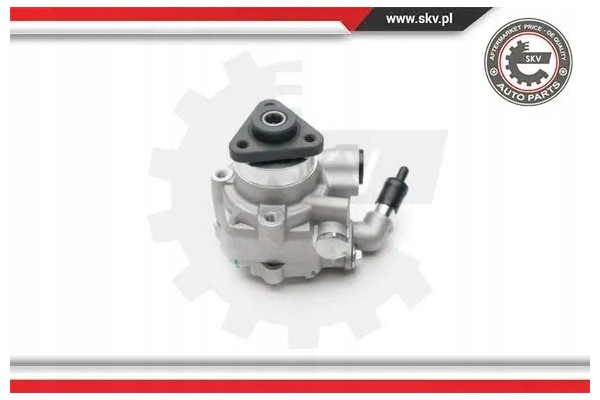 POWER STEERING PUMP 10SKV194 ESEN SKV Packaging status original