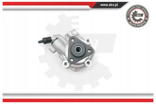 POWER STEERING PUMP 10SKV194 ESEN SKV Car type buses cargo vans