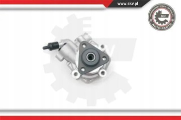 POWER STEERING PUMP 10SKV194 ESEN SKV Car type buses cargo vans