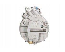Air conditioning compressors spring DELPHI TSP0155025