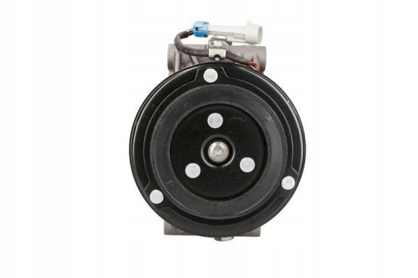 Air conditioning compressors spring DELPHI TSP0155025 Quality of parts according to GVO Q original with factory logo OEM OES