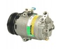 Air conditioning compressors spring DELPHI TSP0155025 Car type cargo vans passenger cars