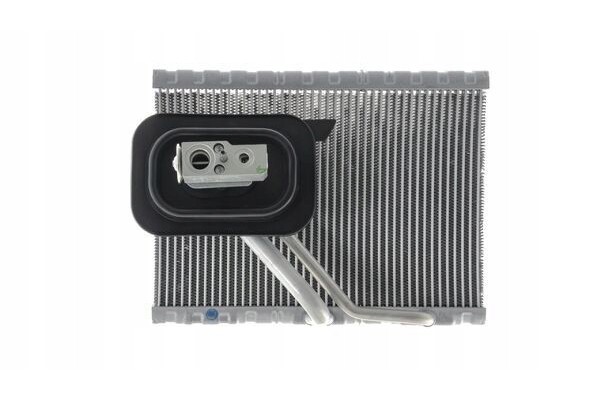 Evaporator air conditioning MAHLE AE 127 000P Catalog number of substitutes AKS DASIS 820406N VEMO V30 65 0041 WILMINK GROUP WG2