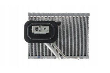 Evaporator air conditioning MAHLE AE 127 000P Catalog number of substitutes AKS DASIS 820406N VEMO V30 65 0041 WILMINK GROUP WG2