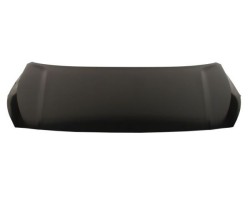 Engine cover BLIC