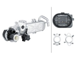 Hella 6NU 358 167 001 AGR module