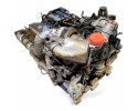 81005016299 MAN Engine Part manufacturer MAN OE