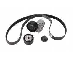 Drive Belt Renault 1 6Dci 117209256R Original