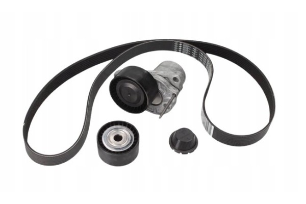 Drive Belt Renault 1 6Dci 117209256R Original