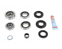 DIFFERENTIAL REPAIR KIT 462 0148 10 LUK BMW
